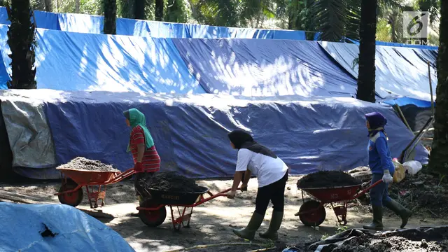 Pembuatan Pupuk Kompos