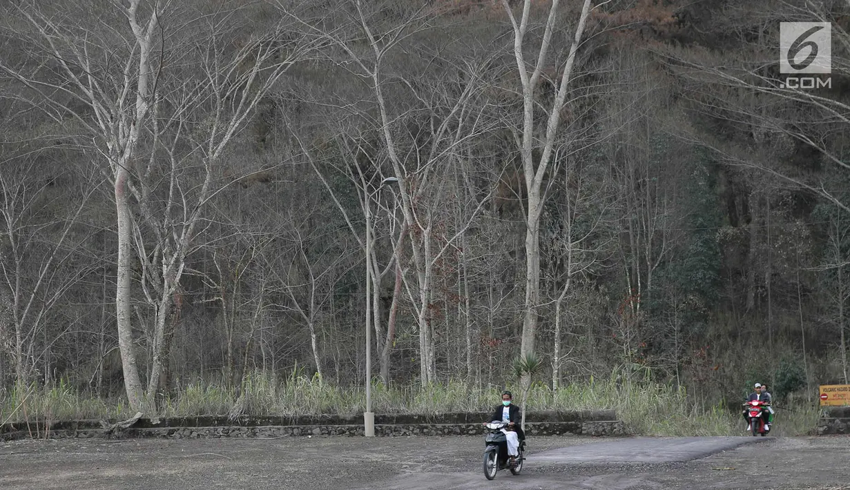 Pengendara motor melintasi kebun yang kering di Desa Besakih, Karangasem, Bali, Jumat (8/12). Erupsi Gunung Agung yang memuntahkan abu vulkanik menyebabkan kawasan Besakih yang sebelumnya hijau menjadi gersang. (Liputan6.com/Immanuel Antonius)