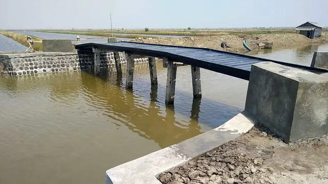 Kementerian PUPR dukung pengembangan kawasan tambak ikan di Kabupaten Indramayu, Jawa Barat. (Dok Kementerian PUPR)
