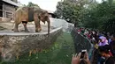 Pengunjung melihat seekor Gajah di Kebun Binatang Ragunan, Jakarta, Jumat (1/1). Jumlah ini mengalami peningkatan hingga empat kali lipat. dibandingkan liburan Natal dan hari biasa. (Liputan6.com/Immanuel Antonius)