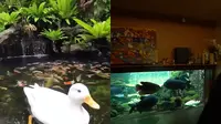 7 Potret Kolam Ikan di Rumah Irfan Hakim, Ada yang di Tengah Tangga