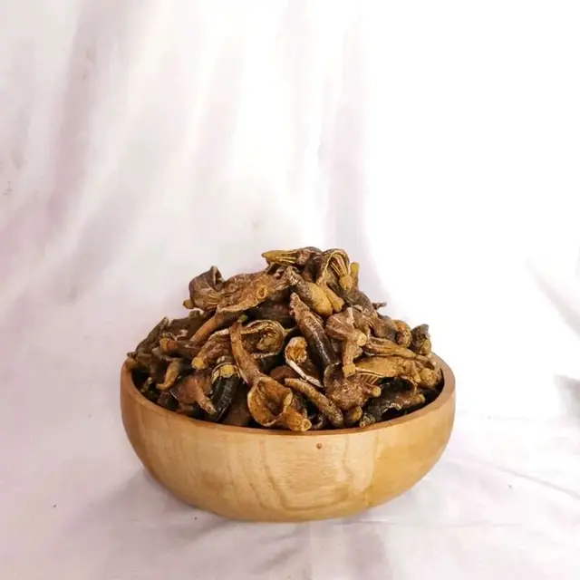 Keripik Teripang Khas Gresik. (Foto: Gemini AI)