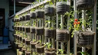 7 Cara Mengubah Area Pagar Menjadi Taman Sayur Mini yang Cantik dan Menguntungkan