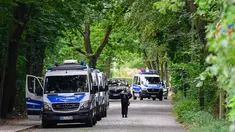 Polisi mengatakan mereka telah mencari informasi tentang dari mana hewan itu berasal pada malam hari, tetapi tidak ada kebun binatang, tempat penampungan hewan, sirkus, atau fasilitas lain yang mereka periksa yang kehilangan singa betina. (John MACDOUGALL / AFP)