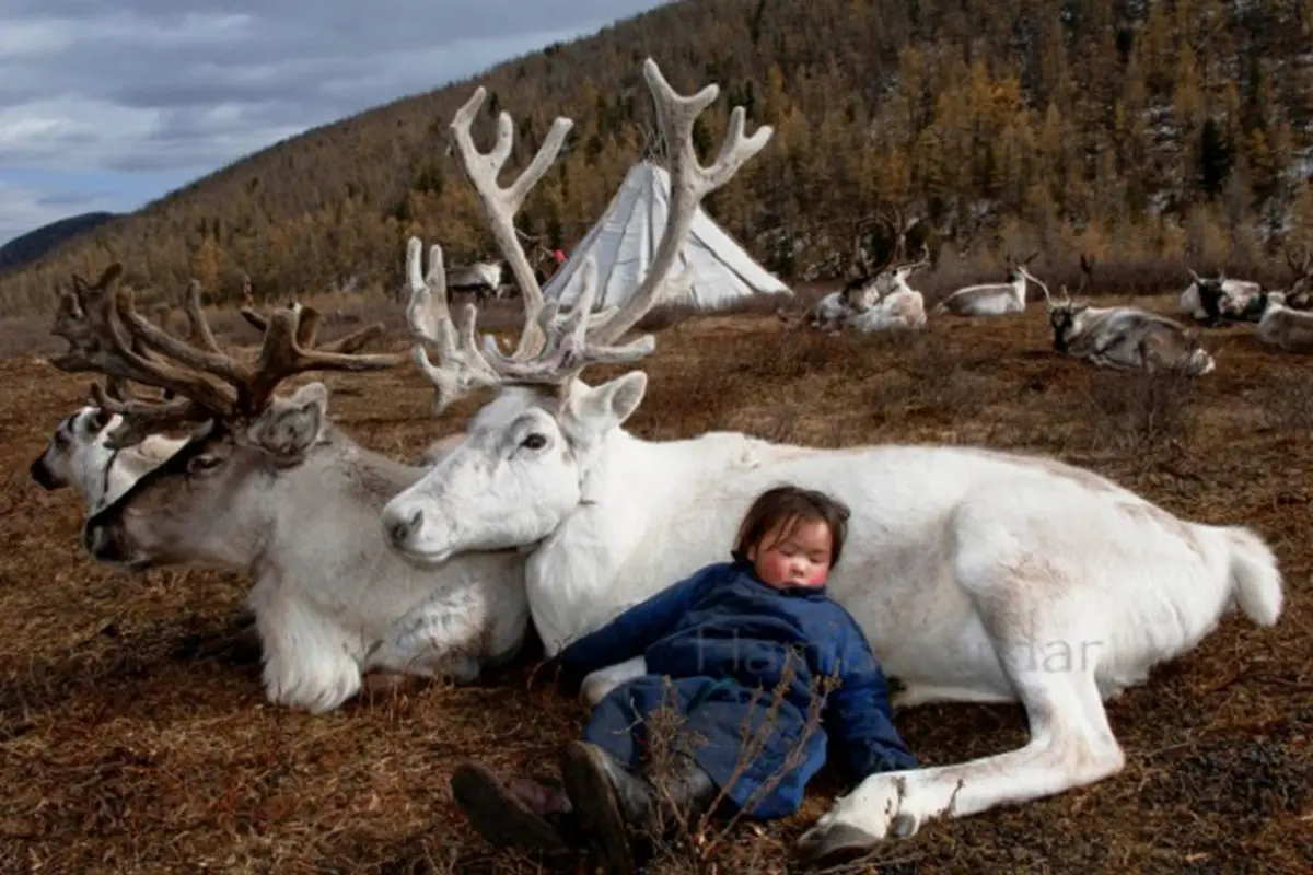 Suku Dukha, Mongolia