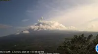 Gunung Semeru erupsi, tinggi letusan mencapai 1.000 meter (Istimewa)