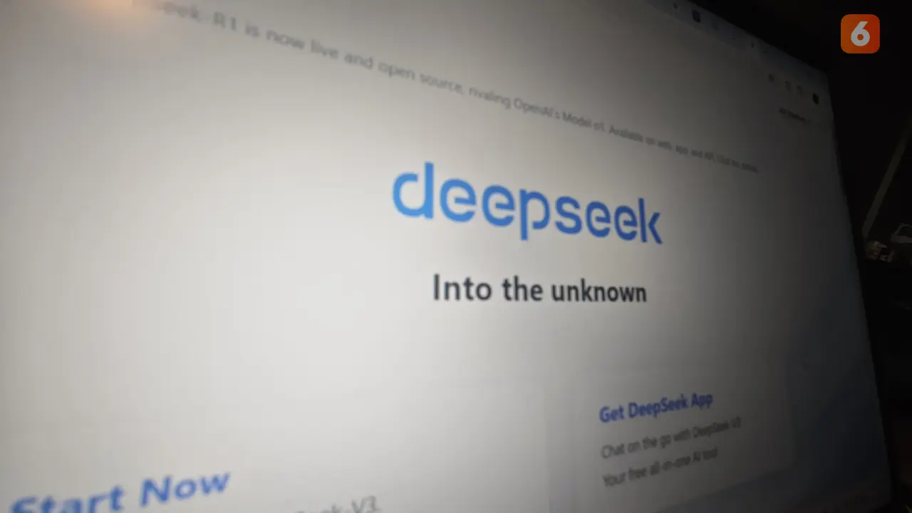 DeepSeek