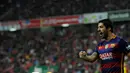Selebrasi Luis Suarez setelah mencetak gol ketiga Barcelona ke gawang Sporting Gijon dalam lanjutan La Liga di Stadion El Municipal Molinon, Gijon, Kamis (18/2/2/2016) dini hari WIB. (AFP/Miguel Riopa)