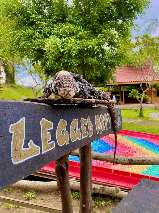 Jogja Exotarium