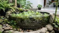 10 Kombinasi Batu Tanaman dan Ikan Untuk Mini Pond, Rahasia Air Jernih Alami Tanpa Filter