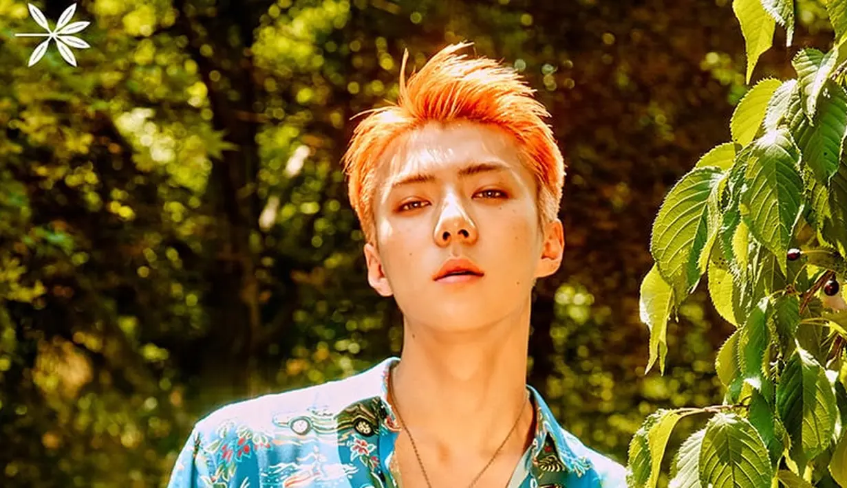 Para penggemar setianya pun tak kehilangan akal, mereka pun punya cara tersendiri untuk merayakan ulang tahun sang idola. Para penggemarnya pun beramai-ramai mengucapakan selamat ulang tahun lewat Twitter. (Foto: Soompi.com)