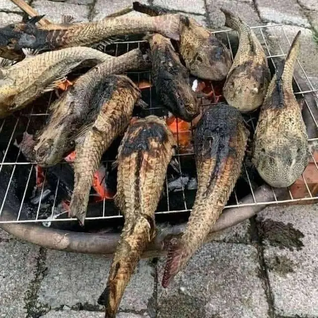 7 Potret Ikan Hias Dimasak Ini Bikin Warganet Heboh