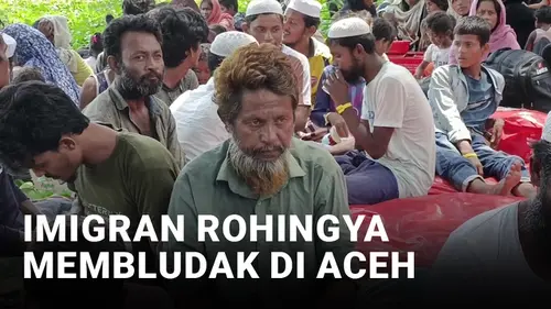 VIDEO: Imigran Rohingya Membludak, UNHCR Bingung