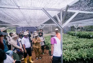 Penanganan degradasi lahan di Lampung Timur menggunakan sistem pengolahan berkelanjutan