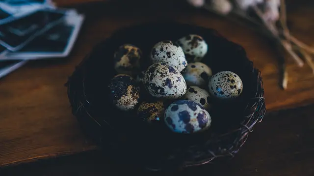 telur puyuh