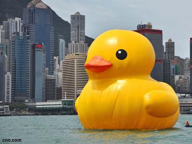 Rekaman Video Bebek Jumbo Berenang Di Pelabuhan Hong Kong Global Liputan6 Com