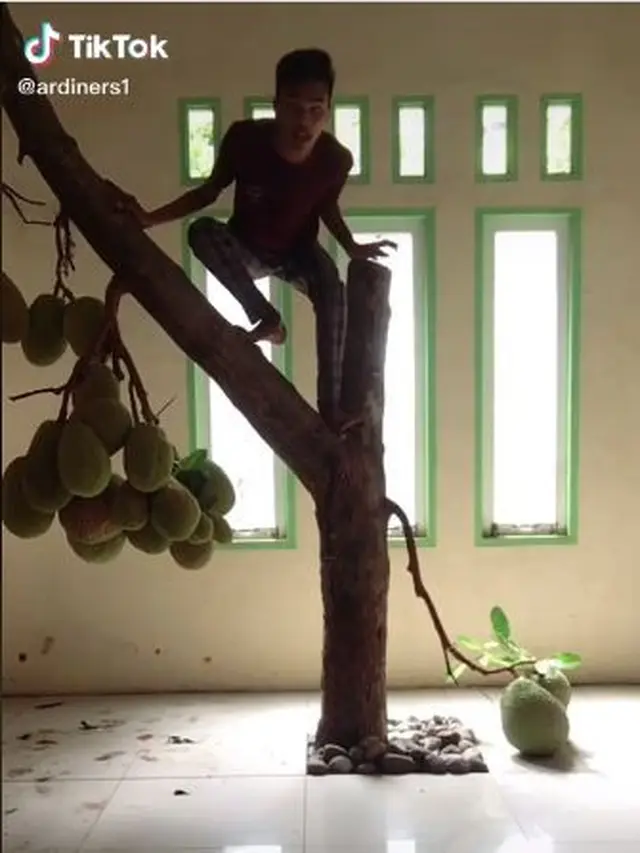6 Momen Langka Buah Tumbuh di Tempat Tak Terduga, Bikin Heran