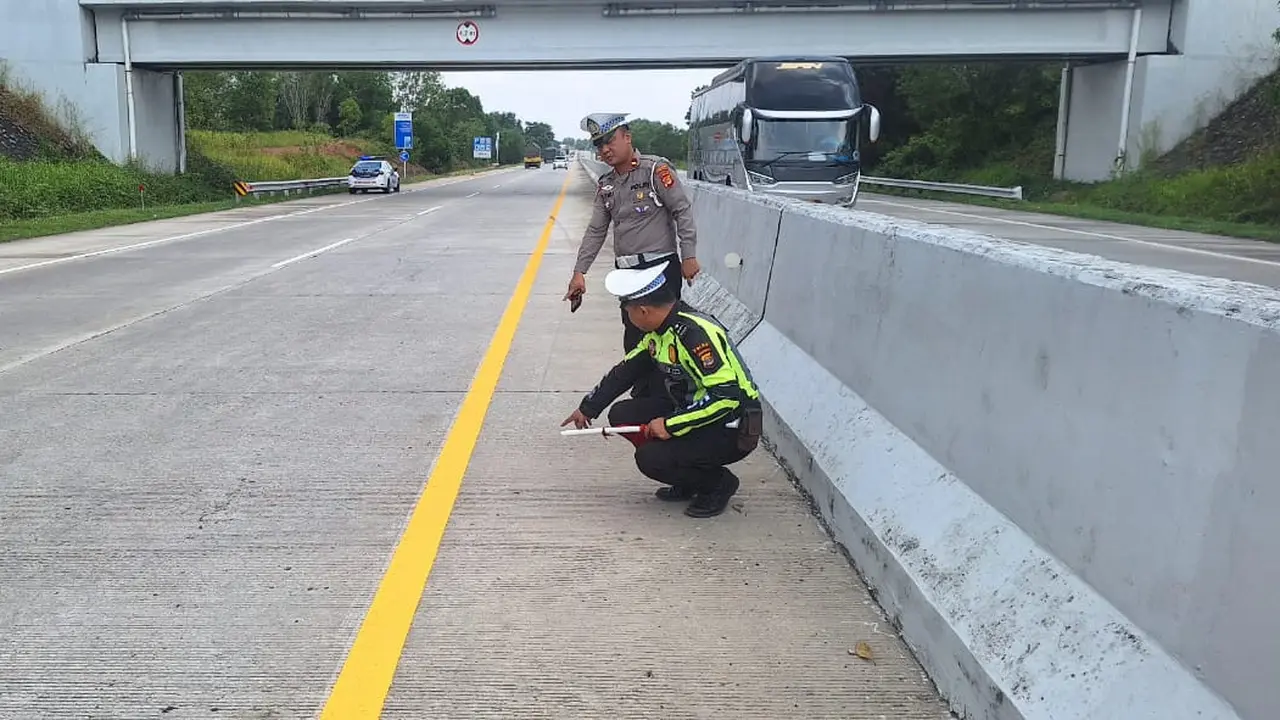 Polisi melakukan olah TKP kecelakaan lalu lintas yang dialami Anggota DPRD Lampung, Handitya Narapati SZP yang juga putra mantan Gubernur Lampung, Sjachroedin Zainal Pagaralam di Tol Trans Sumatera. Foto : (Istimewa).