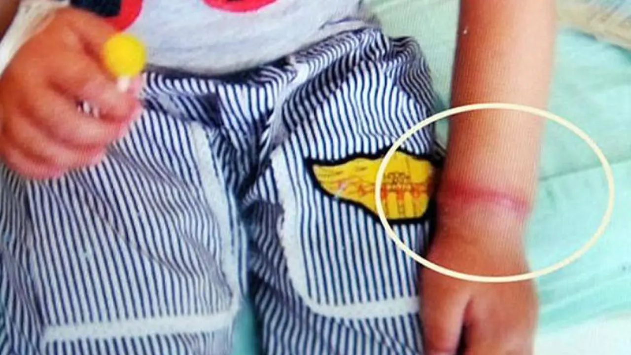 karet gelang