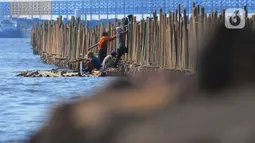 Bambu-bambu tersebut dipsang sebagai tanggul laut untuk mencegah terjadinya abrasi. (merdeka.com/Imam Buhori)