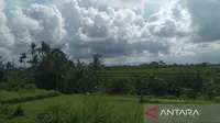 Cuaca Didominasi Awan Tebal, BMKG Beri Peringatan untuk Papua