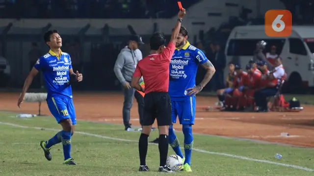 Bojan Malisic, Persib Bandung