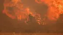 Seorang petugas pemadam kebakaran beroperasi di lokasi kebakaran hutan di Pumarejo de Tera dekat Zamora, Spanyol, 18 Juni 2022. Kebakaran hutan terbesar masih di luar kendali sore ini di Sierra de la Culebra, sebuah pegunungan di wilayah Castile dan Leon (barat laut), dekat perbatasan dengan Portugal. (CESAR MANSO/AFP)