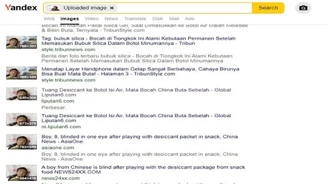 Gambar Tangkapan Layar Penelusuran Foto Menggunakan Situs Yandex.