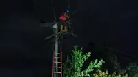 Petugas PLN Jatim melakukan perbaikan jaringan listrik akibat Gempa Bantul. (Istimewa)