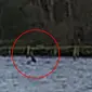 The Official Loch Ness Monster Sightings Register