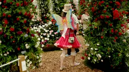 Pengunjung berjalan dekat bunga mawar yang dipajang pada RHS (Royal Horticultural Society) Chelsea Flower Show, London, Senin (21/5). Ini adalah pameran bunga yang paling terkenal di Inggris, dan mungkin di dunia. (AP/Matt Dunham)