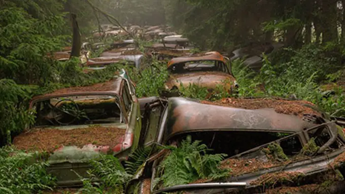 Foto: copyright Boredpanda.com.