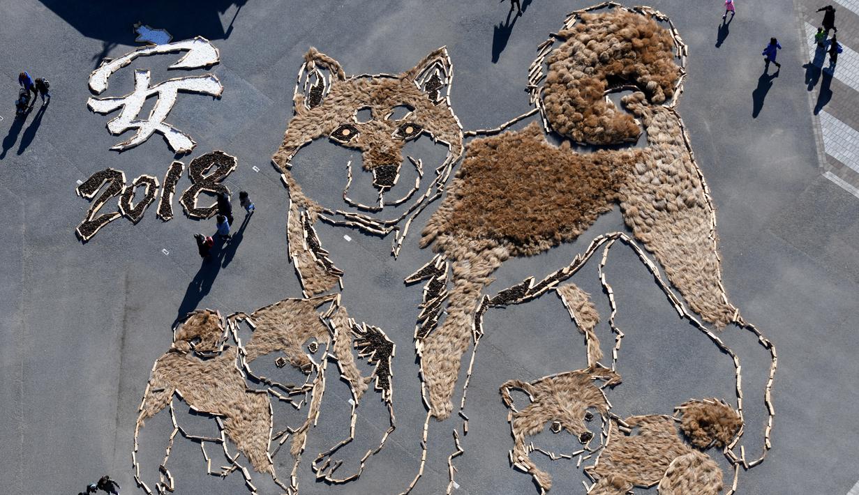 Pandangan dari atas pengunjung melihat gambar seekor anjing Shiba Inu dan dua anaknya berukuran 22.5mx 27m di Taman Seaside Hitachi, Utara Tokyo, (29/12). Kegiatan tersebut untuk merayakan kedatangan Tahun Anjing. (AFP PHOTO / Toshifumi Kitamura)