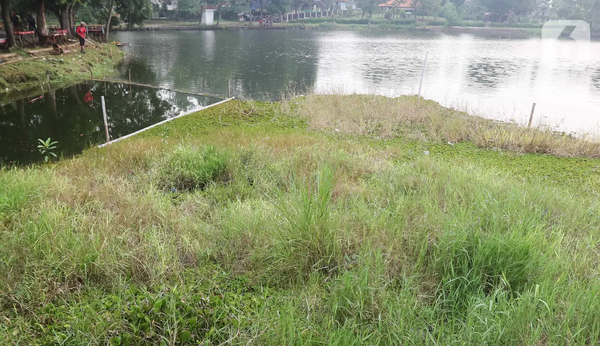 Situ Sawangan memiliki luas 27 hektare. (Liputan6.com/Herman Zakharia)