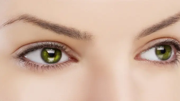 courtesy shutterstock