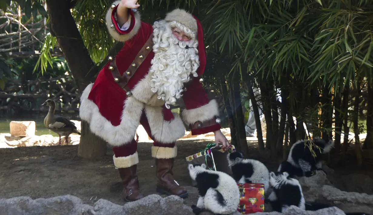 Seorang pria berpakaian Sinterklas memberikan hadiah berupa makanan kepada para hewan sebagai bagian dari tradisi Natal di Kebun Binatang La Aurora, Kota Guetemala, Selasa (20/12/2022). Pengunjung dapat melihat kandang-kandang hewan yang terdapat kotak kado tertata rapih. (Orlando ESTRADA / AFP)