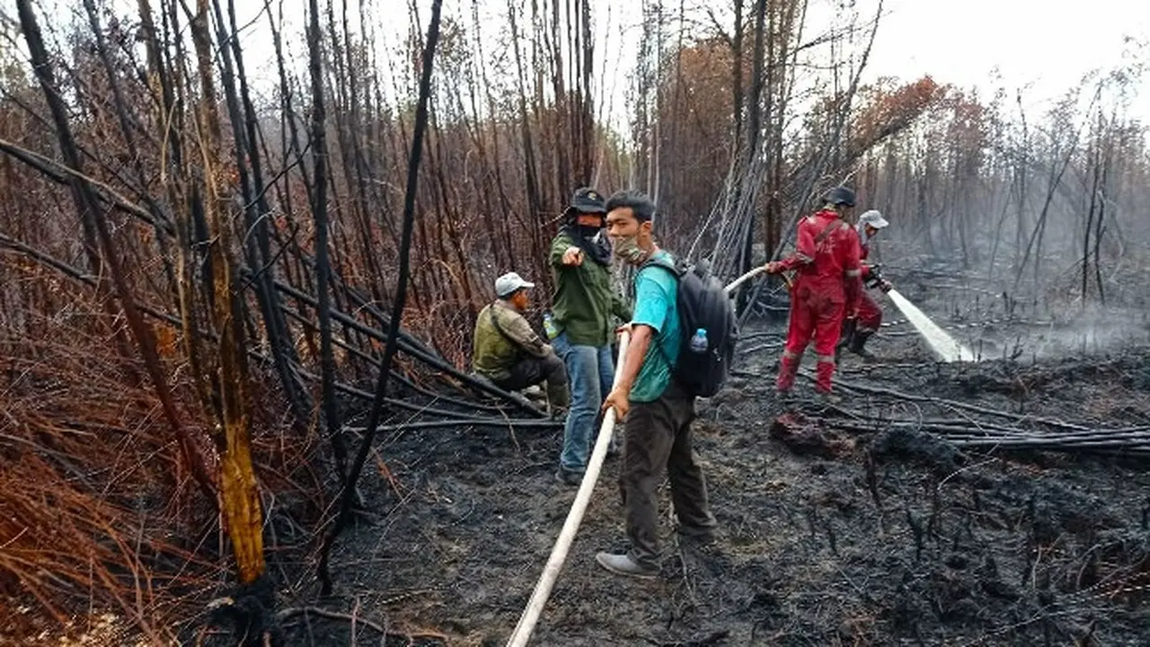Pendinginan lahan bekas terbakar oleh BBKSDA Riau di Cagar Biosfer Giam Siak Kecil
