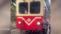 Turis di Taiwan Disenggol Kereta Saat Selfie di Dekat Rel, Agen Perjalanannya Didenda Rp102 Juta