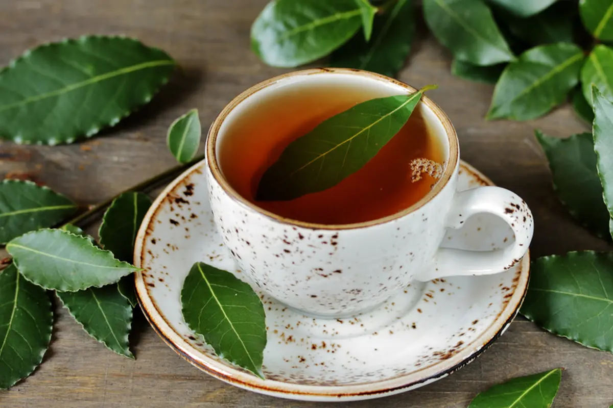 teh daun salam