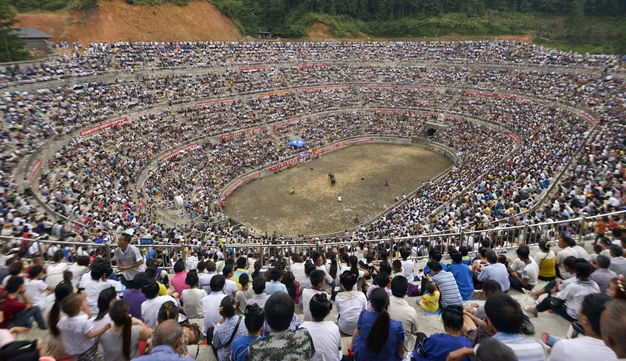 Penonton memadati arena adu banteng tradisional Dong di Rongjiang, Guizhou, Tiongkok, Minggu (6/9/2015. (Reuters) 