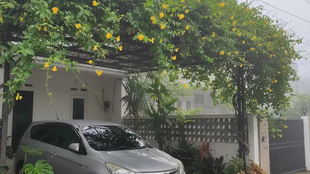 Ide Tanaman Rambat untuk Carport. AI