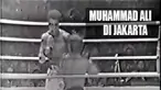 Seperti ditulis dalam buku Sports Matters: Race, Recreation, and Culture, laga ini tidak hanya menjadi sorotan nasional, juga menjadi sorotan dunia. Apalagi Rudi Lubbers berstatus sebagai warga negara Belanda, bekas negara penjajah Indonesia.