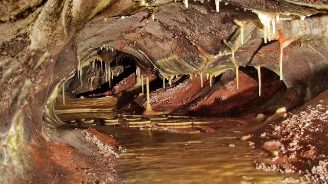 Wind Cave National Park