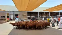 Pasar Anam di Makkah, salah satu tempat membeli kambing untuk membayar dam. (Liputan6.com/Mevi Linawati)