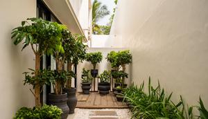 Desain Teras Minimalis di Lahan Sempit tapi Dikelilingi Pohon dalam Pot Besar (AI)