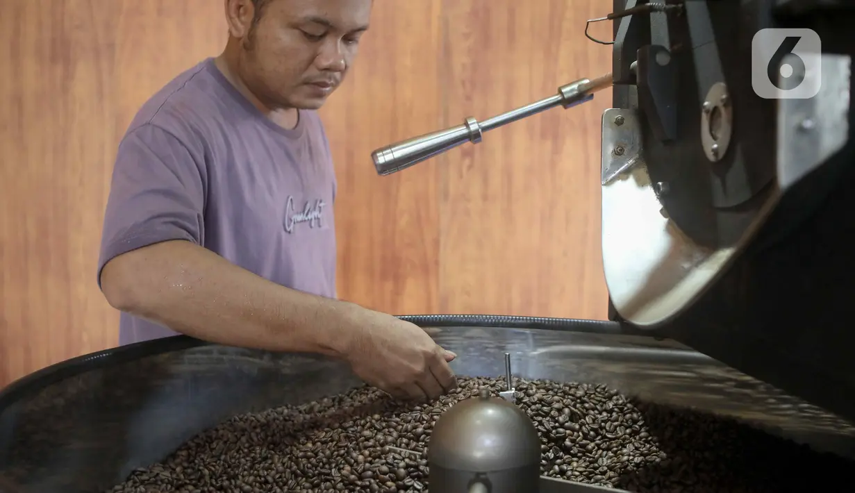 Ada sekitar 1,2 juta hektar perkebunan kopi di Indonesia. (Liputan6.com/Herman Zakharia)