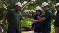 Emiten AALI Raih Laba Rp 373,40 Miliar hingga Maret 2026