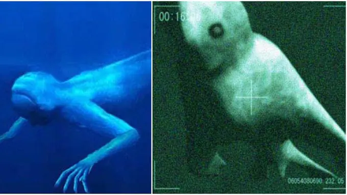 (c) pinktentacle.com