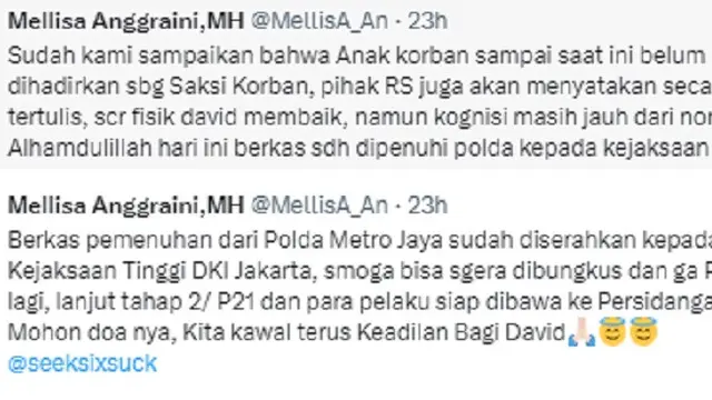 Mellisa Anggraini, kuasa hukum David Ozora (Foto: Twitter/@MellisA_An)