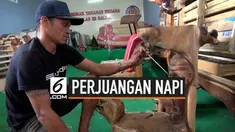 Seorang napi kasus narkoba di Sumatera Utara berhasil membiayai anaknya berkuliah dari dalam tahanan. Ia membuat berbagai kerajinan yang kemudian dijual saat pameran oleh Lapas.